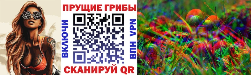 где купить наркоту  Сычёвка  Псилоцибиновые грибы мухоморы 